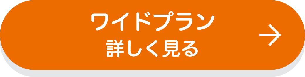ワイドプラン　詳しく見る